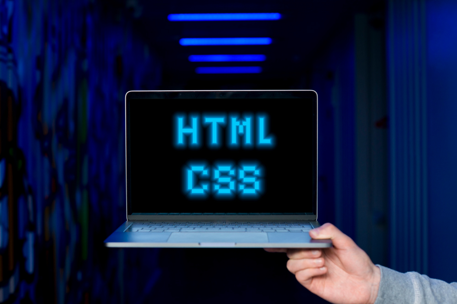 Woo Commerce Website Development Services HTML CSS- Ads Spiders